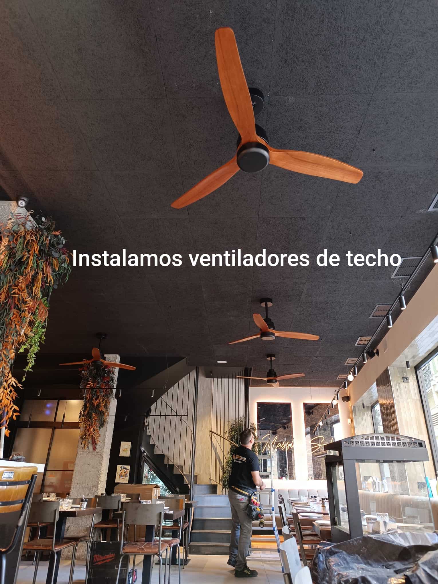 IMG-20251110-WA0013 IMG-20251110-WA0013